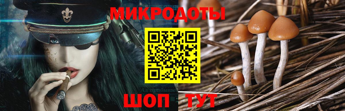Псилоцибиновые грибы Psilocybine cubensis  Вход с VPN  Обнинск 