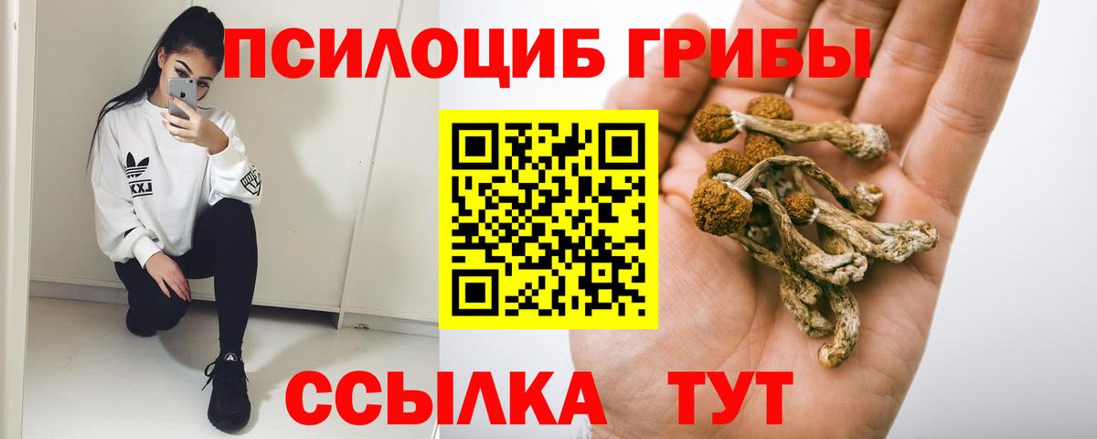 Псилоцибиновые грибы GOLDEN TEACHER Обнинск
