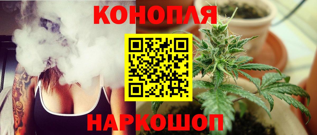 Конопля марихуана Обнинск